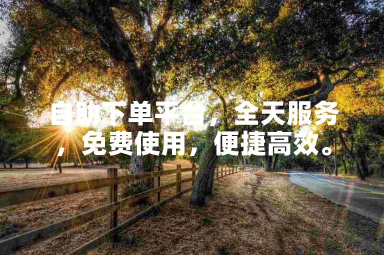 自助下单平台，全天服务，免费使用，便捷高效。