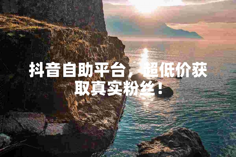 抖音自助平台，超低价获取真实粉丝！