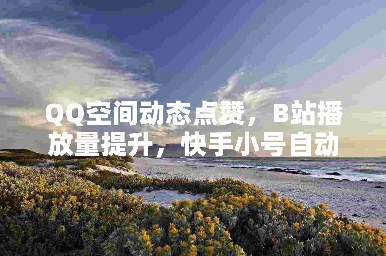QQ空间动态点赞，B站播放量提升，快手小号自动发货。