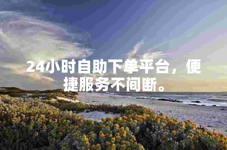 24小时自助下单平台，便捷服务不间断。