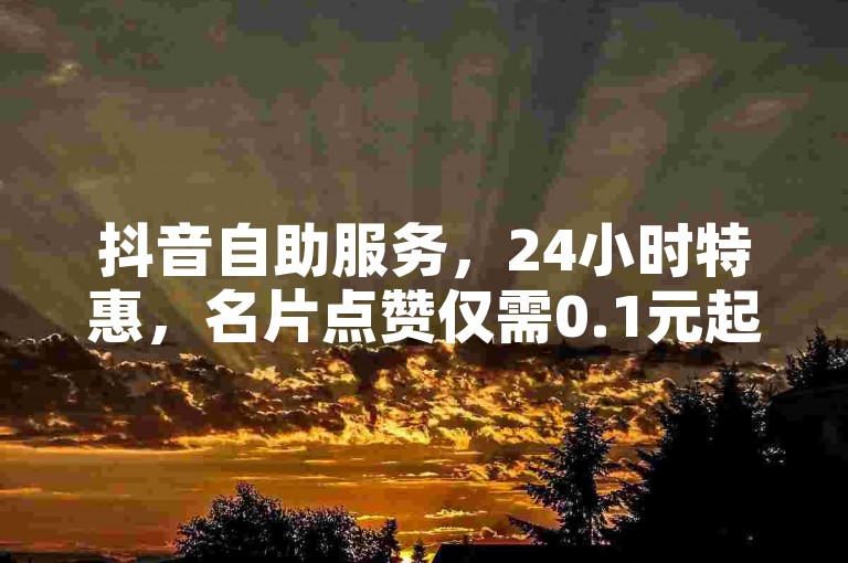 抖音自助服务，24小时特惠，名片点赞仅需0.1元起。