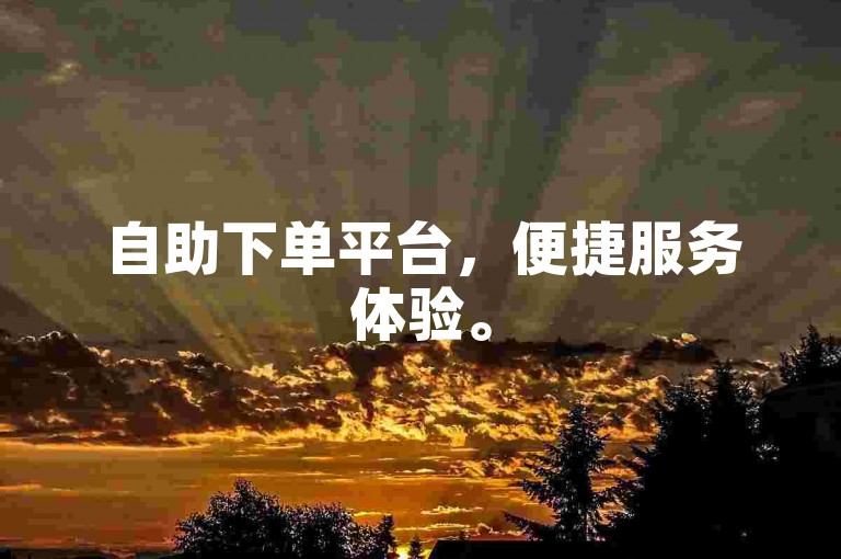 自助下单平台，便捷服务体验。