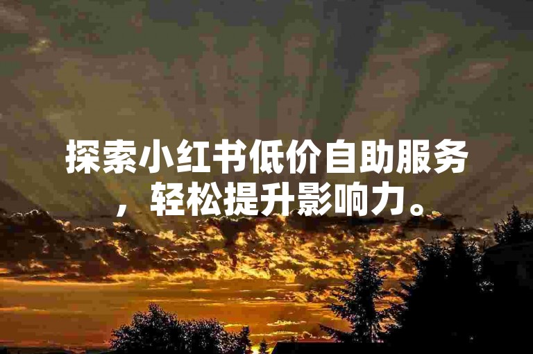 探索小红书低价自助服务，轻松提升影响力。