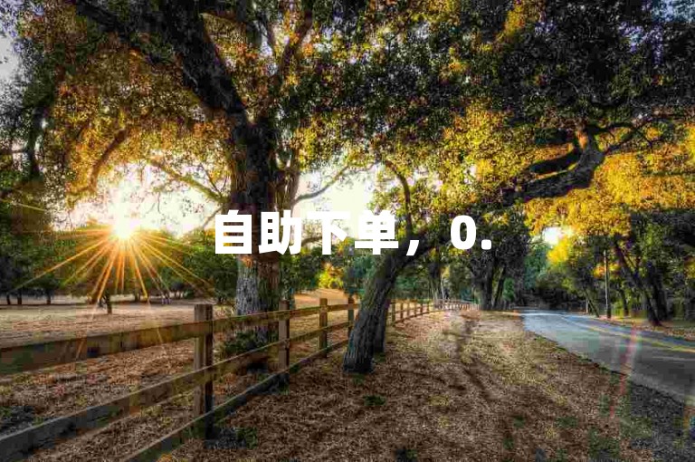 自助下单，0.5元获取1000赞，助力抖音流量推广。