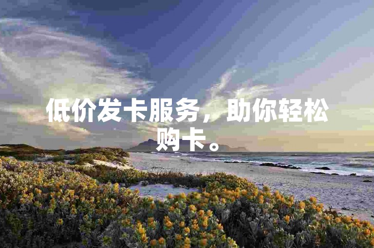 低价发卡服务，助你轻松购卡。