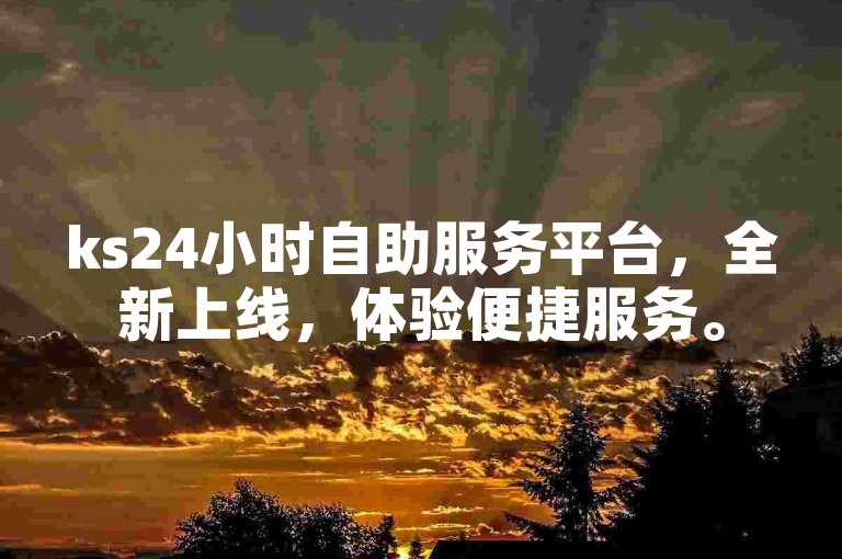 ks24小时自助服务平台，全新上线，体验便捷服务。