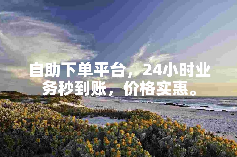 自助下单平台，24小时业务秒到账，价格实惠。