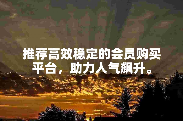 推荐高效稳定的会员购买平台，助力人气飙升。