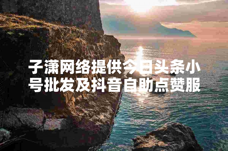 子潇网络提供今日头条小号批发及抖音自助点赞服务，卡密购买便捷。