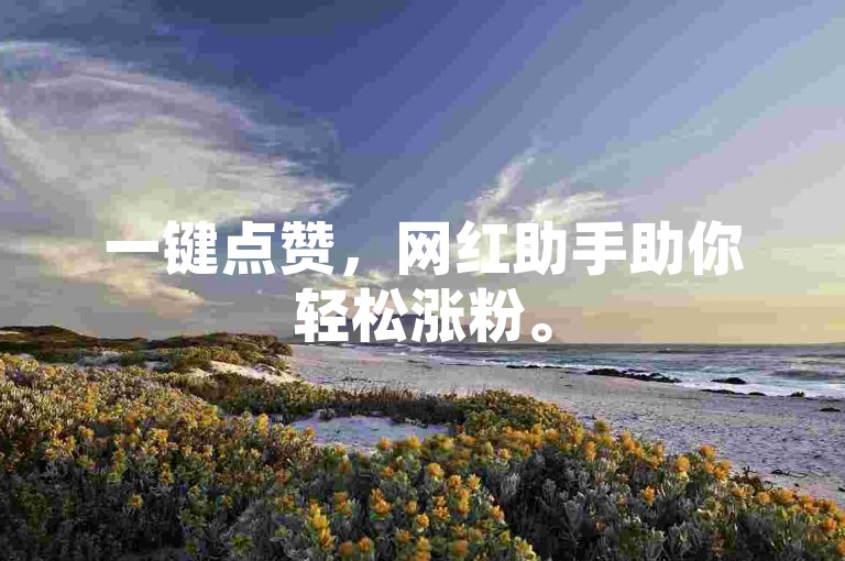 一键点赞，网红助手助你轻松涨粉。