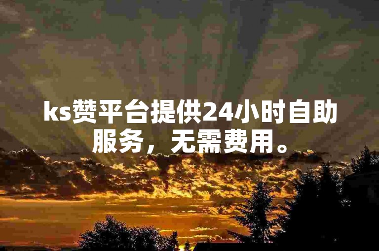 ks赞平台提供24小时自助服务，无需费用。