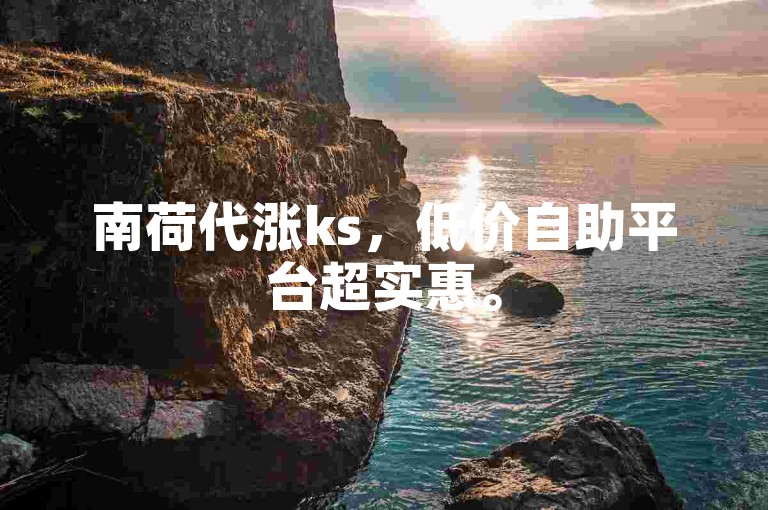 南荷代涨ks，低价自助平台超实惠。