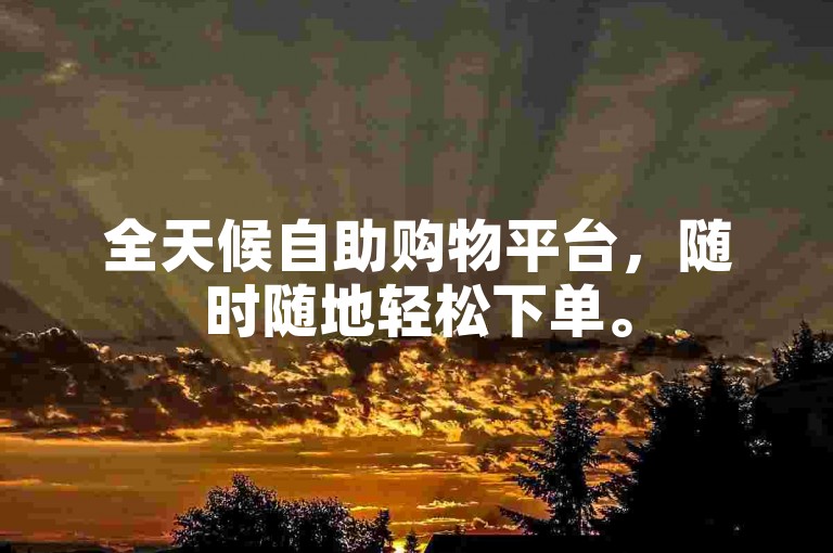 全天候自助购物平台，随时随地轻松下单。