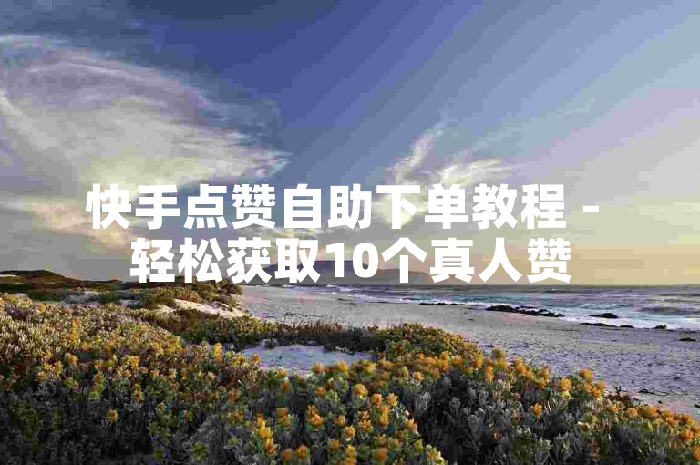 快手点赞自助下单教程 - 轻松获取10个真人赞