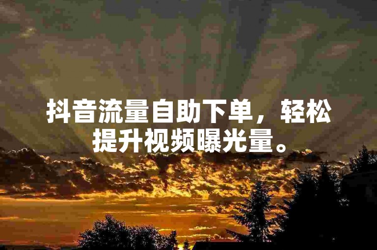 抖音流量自助下单，轻松提升视频曝光量。