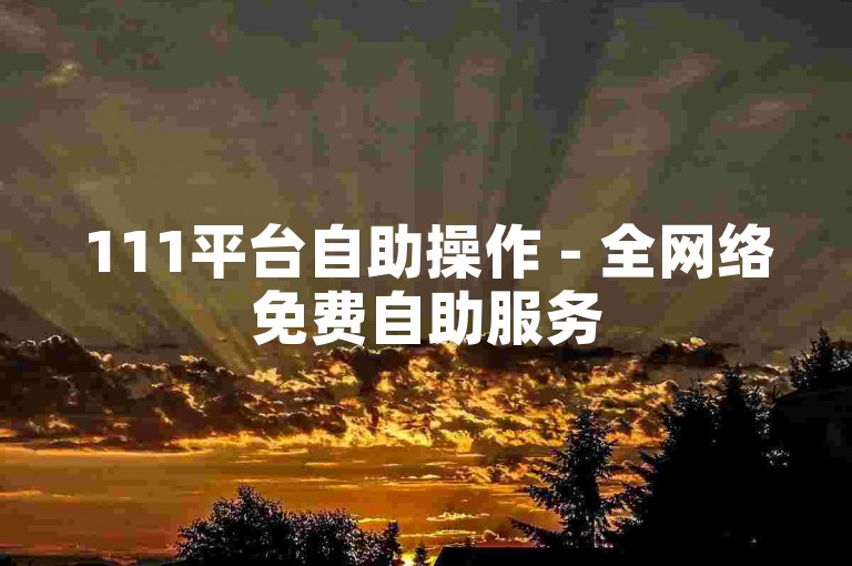 111平台自助操作 - 全网络免费自助服务