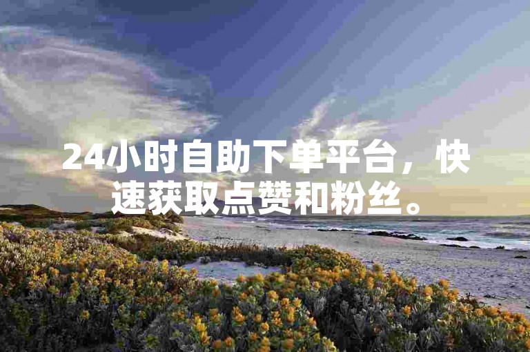 24小时自助下单平台，快速获取点赞和粉丝。