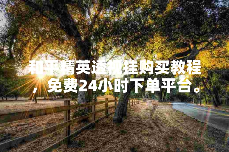 和平精英透视挂购买教程，免费24小时下单平台。