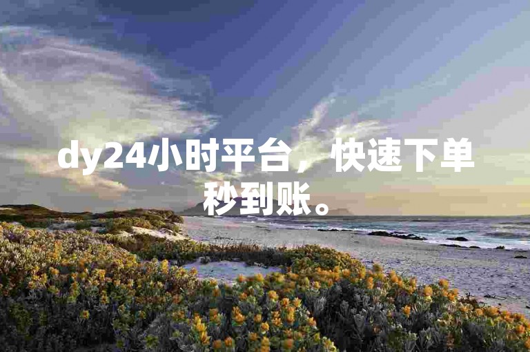 dy24小时平台，快速下单秒到账。