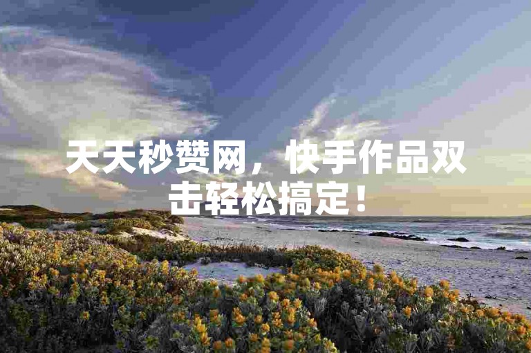 天天秒赞网，快手作品双击轻松搞定！
