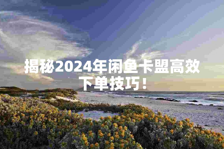 揭秘2024年闲鱼卡盟高效下单技巧！