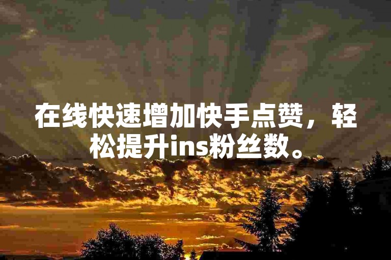 在线快速增加快手点赞，轻松提升ins粉丝数。