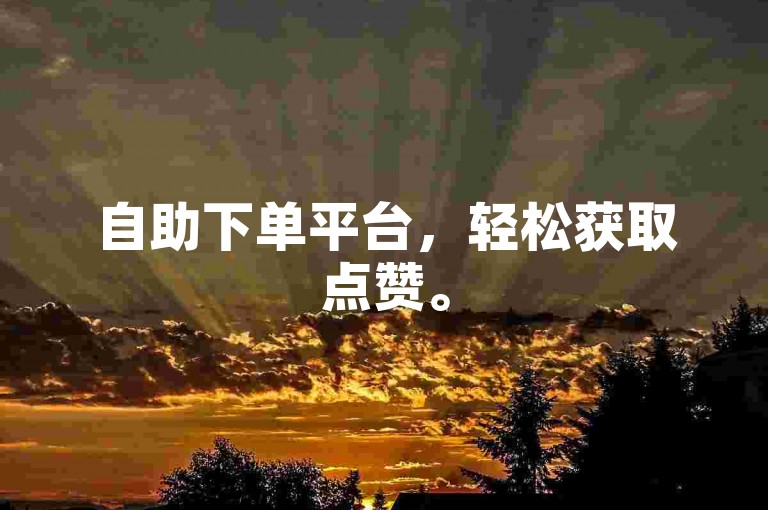 自助下单平台，轻松获取点赞。