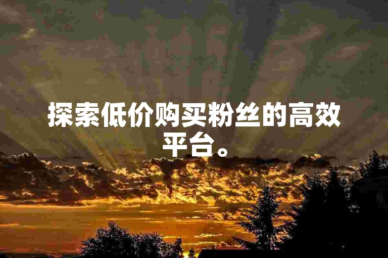 探索低价购买粉丝的高效平台。