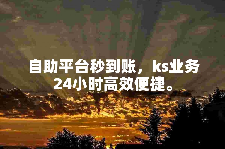 自助平台秒到账，ks业务24小时高效便捷。