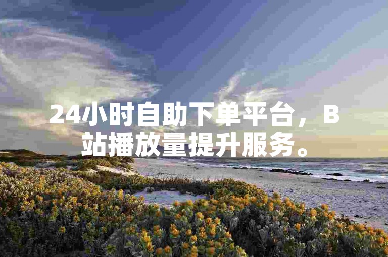 24小时自助下单平台，B站播放量提升服务。