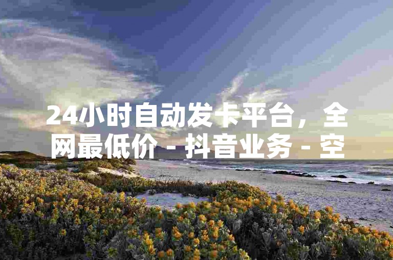 24小时自动发卡平台，全网最低价 - 抖音业务 - 空间自助下单
