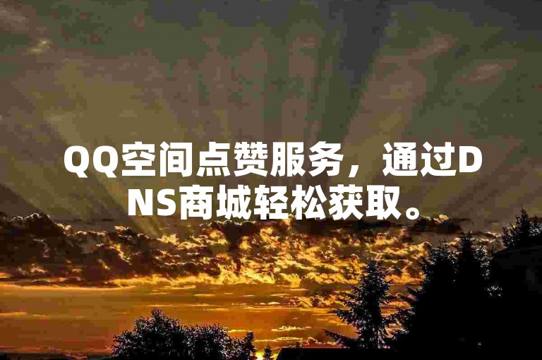 QQ空间点赞服务，通过DNS商城轻松获取。
