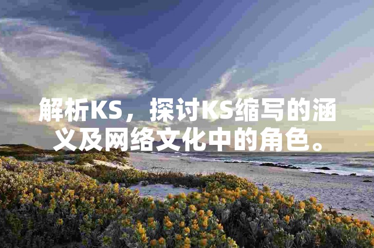 解析KS，探讨KS缩写的涵义及网络文化中的角色。
