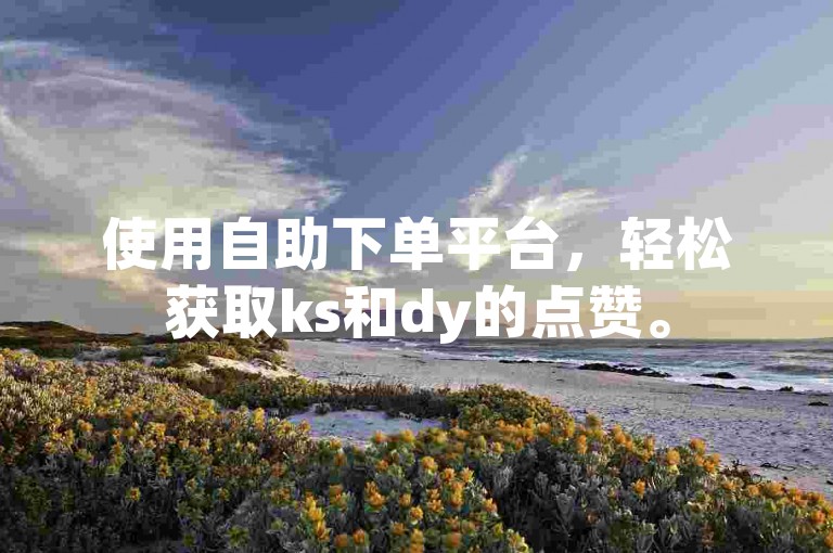 使用自助下单平台，轻松获取ks和dy的点赞。
