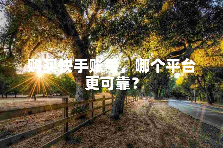 购买快手账号，哪个平台更可靠？