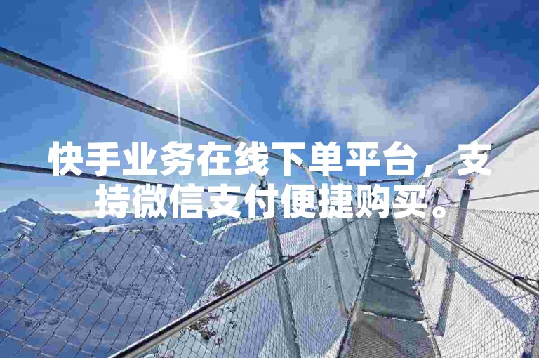 快手业务在线下单平台，支持微信支付便捷购买。