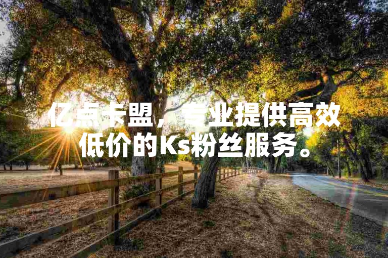 亿点卡盟，专业提供高效低价的Ks粉丝服务。