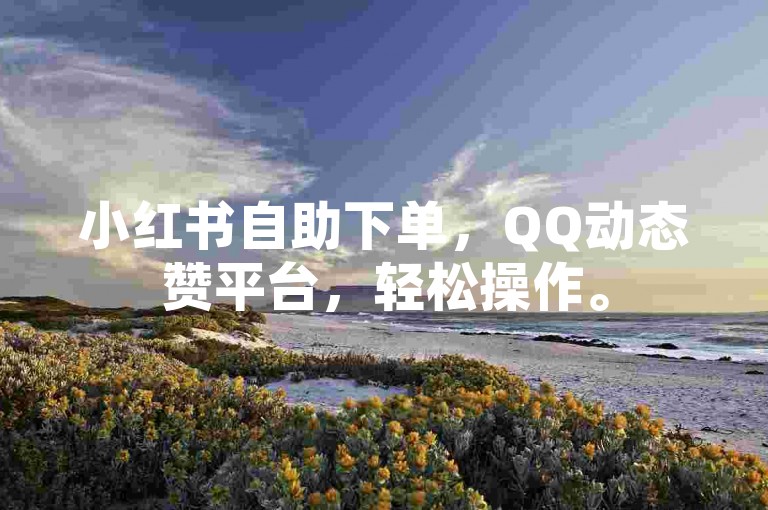 小红书自助下单，QQ动态赞平台，轻松操作。