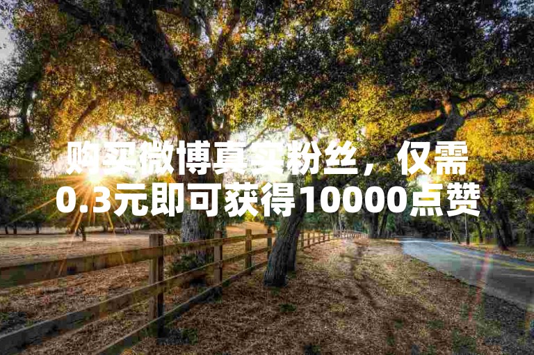 购买微博真实粉丝，仅需0.3元即可获得10000点赞。
