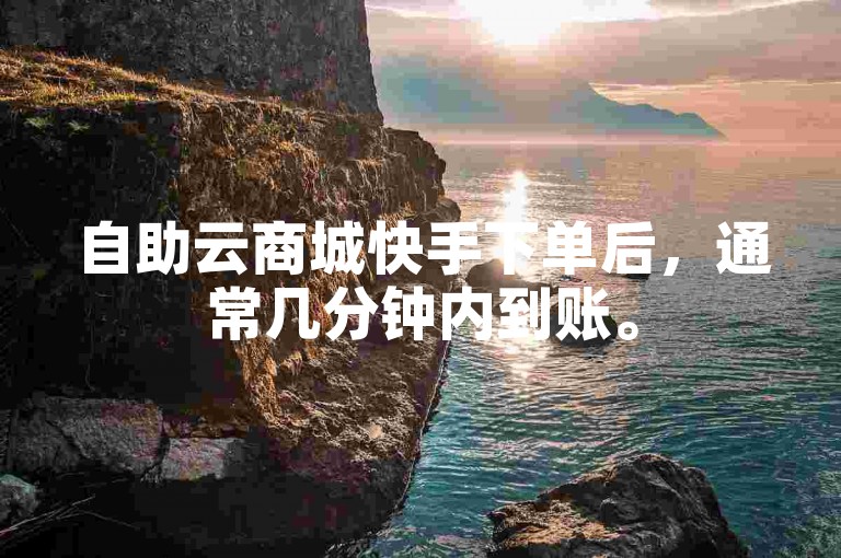 自助云商城快手下单后，通常几分钟内到账。