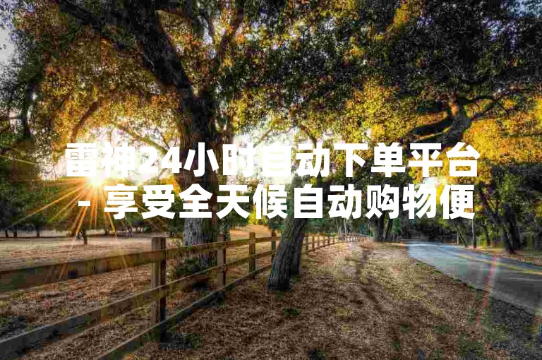 雷神24小时自动下单平台 - 享受全天候自动购物便利！
