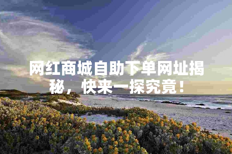 网红商城自助下单网址揭秘，快来一探究竟！
