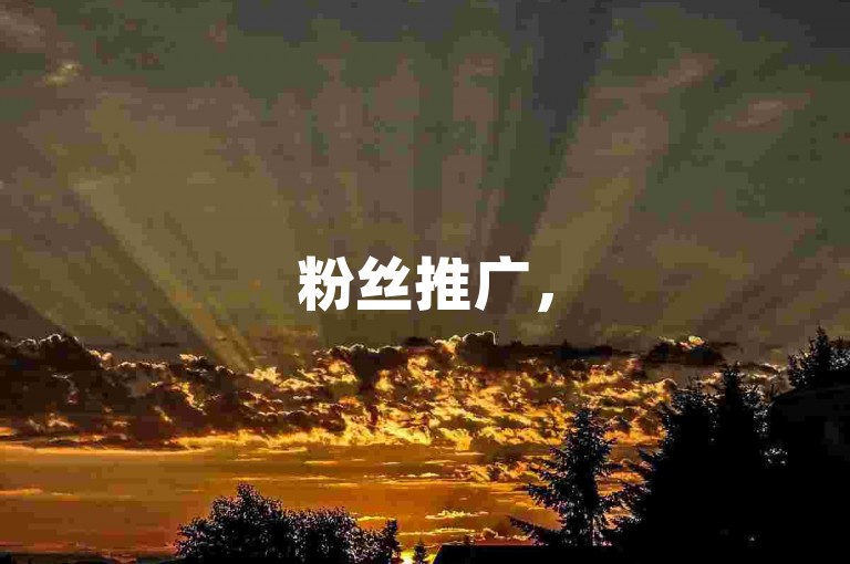粉丝推广，5000只需一价，快手平台24小时接单。
