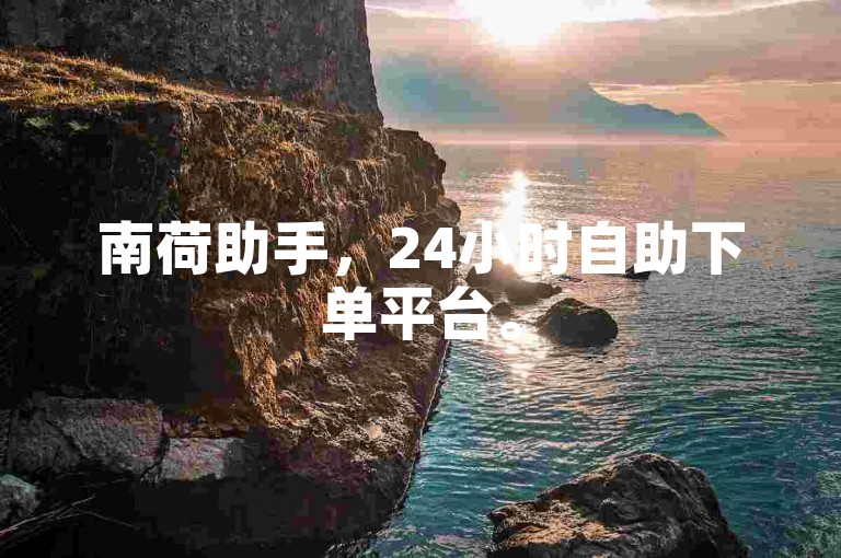 南荷助手，24小时自助下单平台。