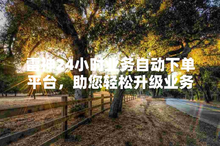 雷神24小时业务自动下单平台，助您轻松升级业务。