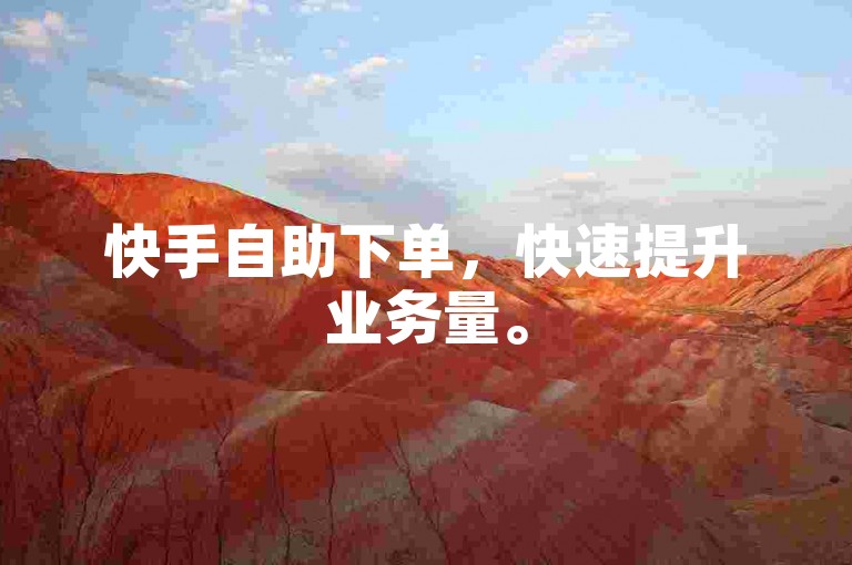 快手自助下单，快速提升业务量。