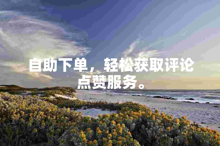 自助下单，轻松获取评论点赞服务。
