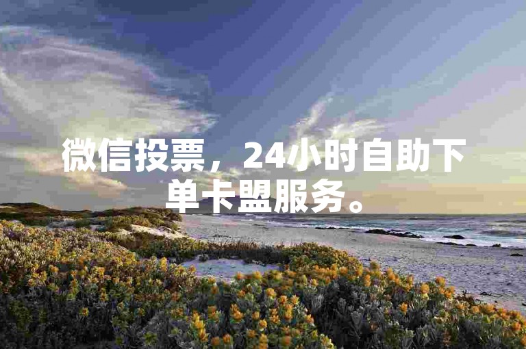 微信投票，24小时自助下单卡盟服务。