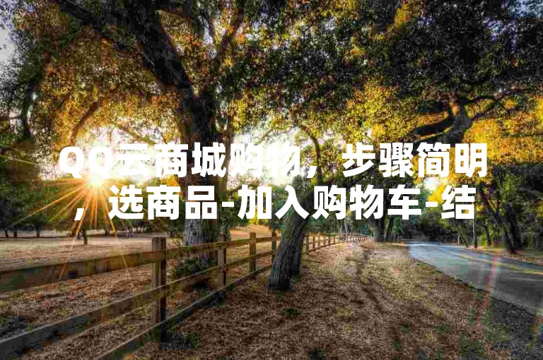 QQ云商城购物，步骤简明，选商品-加入购物车-结算付款。