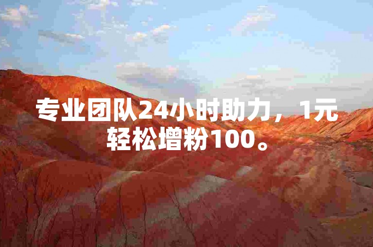 专业团队24小时助力，1元轻松增粉100。